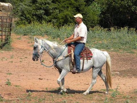 Cowgirl